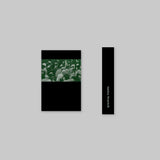 Wet Lands Dry Me 【TAPE】-  Family Ravine