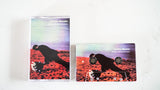 Colour Motion Picture 【TAPE】-  Little Music