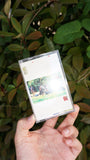 Live on The Green【TAPE】- Sam Wilkes