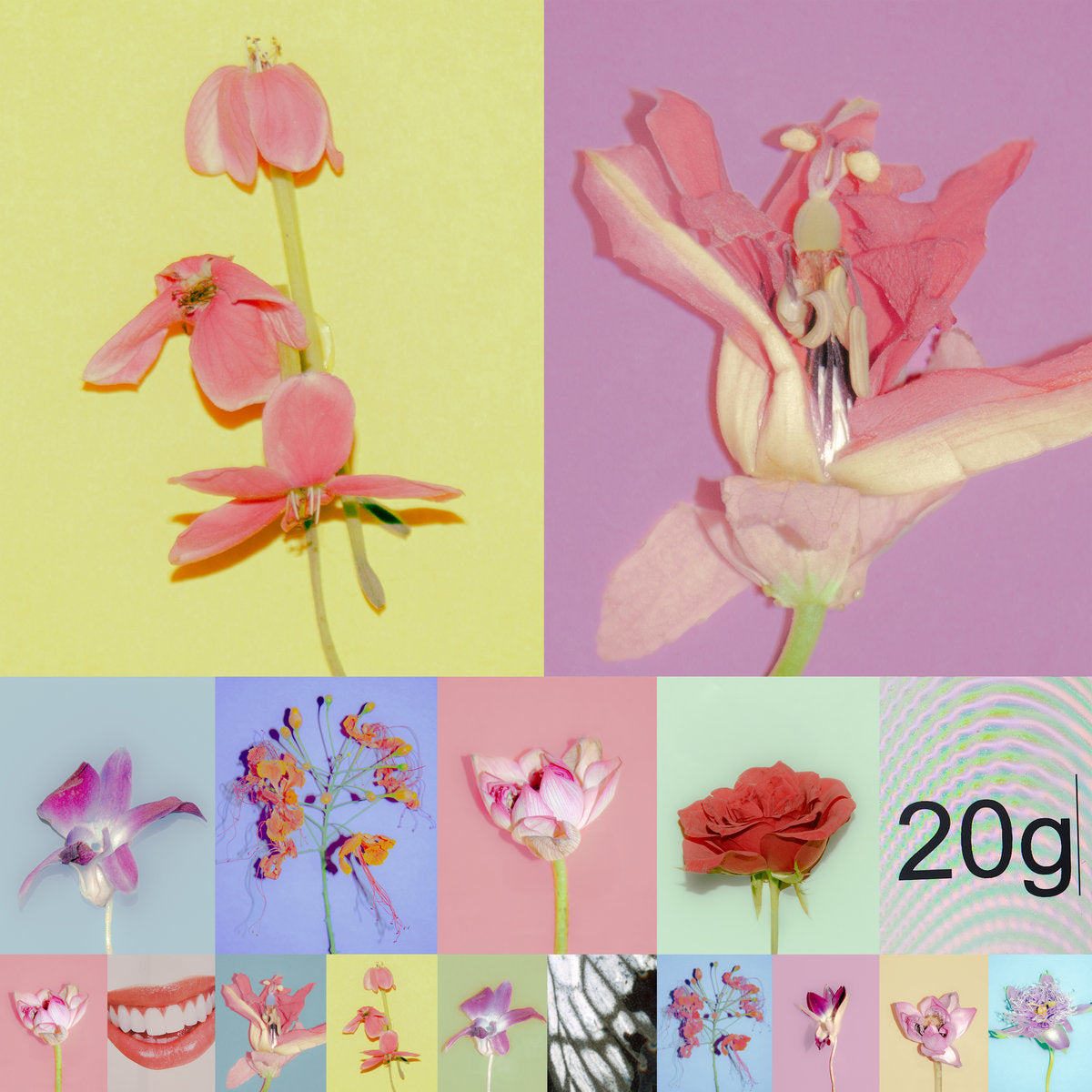 Various Artists – ODD TAPE