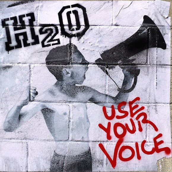 USE YOUR VOICE 【TAPE】- H2O