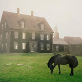 The Academy【TAPE】 - Lutalo