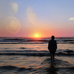 MARINE LIFE【TAPE】-WAYNE PATRICK GARRETT