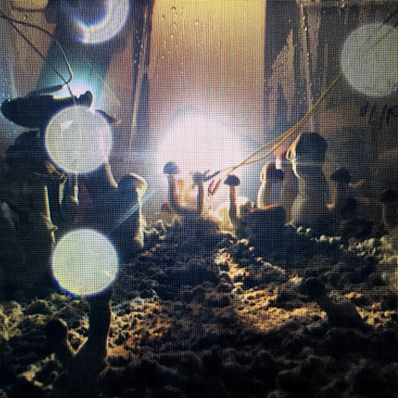 Plant Music Vol.3 - The Golden Teachers【TAPE】-  Nico Georis