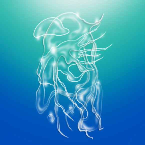 a veil, the sea【TAPE】-Alexandra Spence