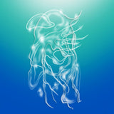 a veil, the sea【TAPE】-Alexandra Spence