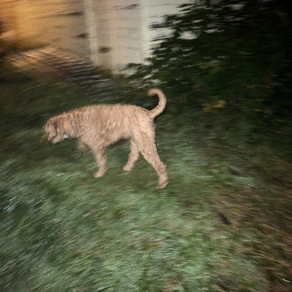 fort stevens 2006 (+DL)【TAPE】- porch kiss