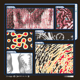 Decomposition: Fox on a Highway【TAPE】- Saapato