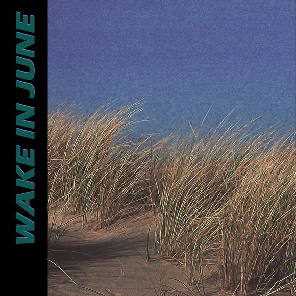 from doing all the things in life you'd like to【TAPE】- WAKE IN JUNE